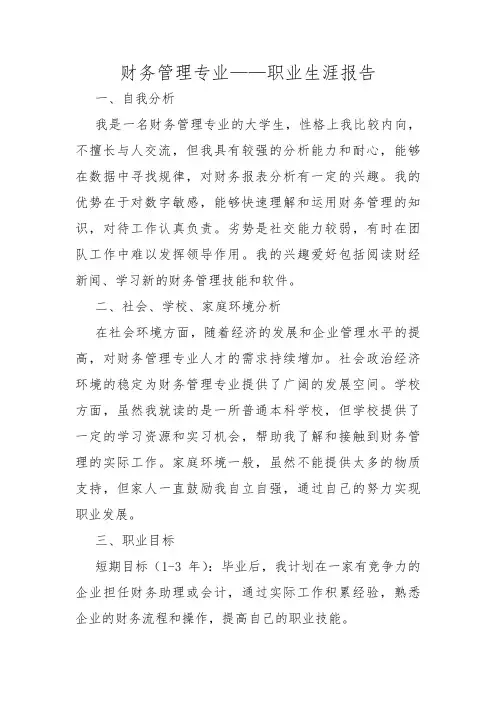 财务管理专业——职业生涯报告