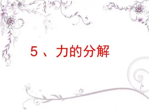 高一物理力的分解3
