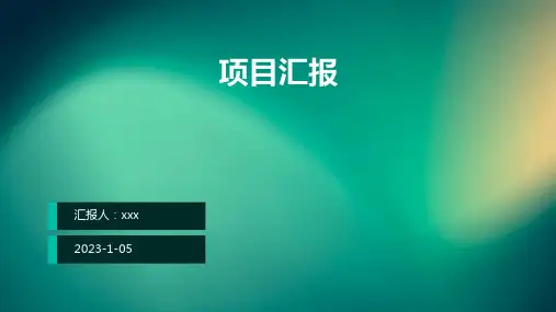 项目汇报PPT课件