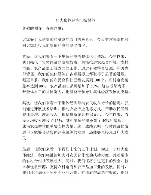 壮大集体经济汇报材料