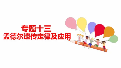 专题十三 孟德尔遗传定律及应用-2024年高考生物二轮复习热点专题专项突破