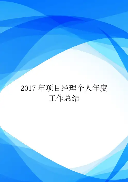 2017年项目经理个人年度工作总结