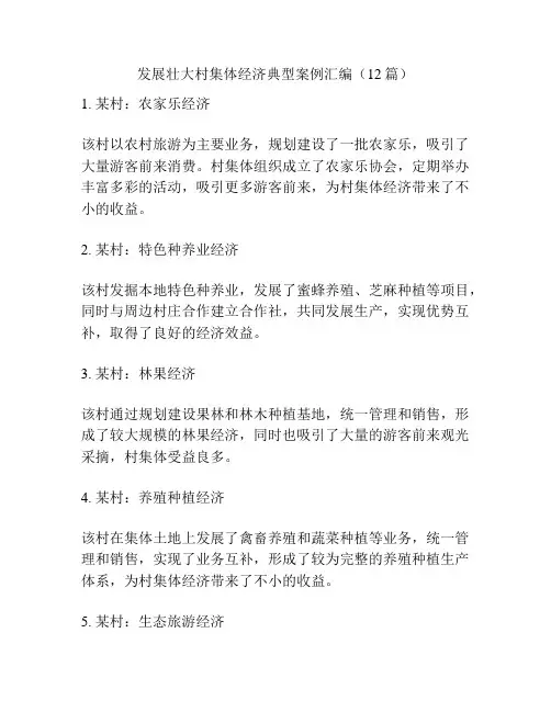 发展壮大村集体经济典型案例汇编(12篇)