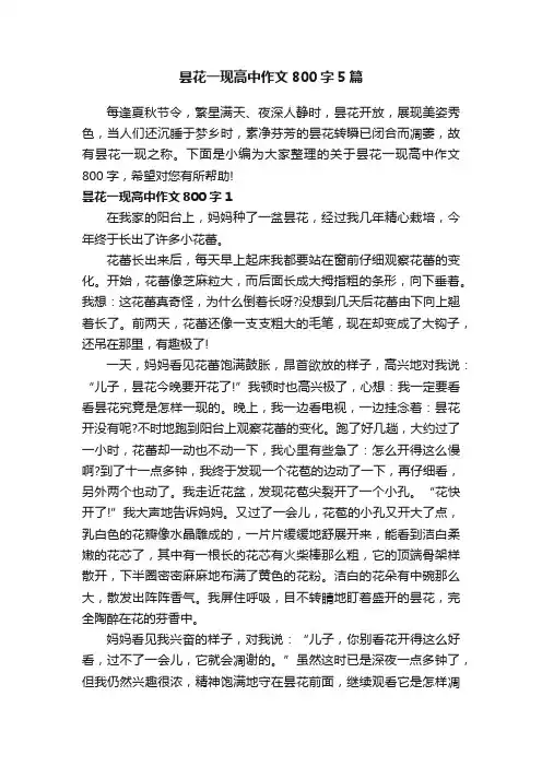 昙花一现高中作文800字5篇