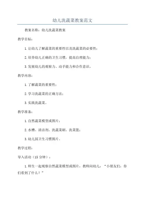 幼儿洗蔬菜教案范文