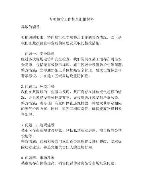 专项整治工作督查汇报材料