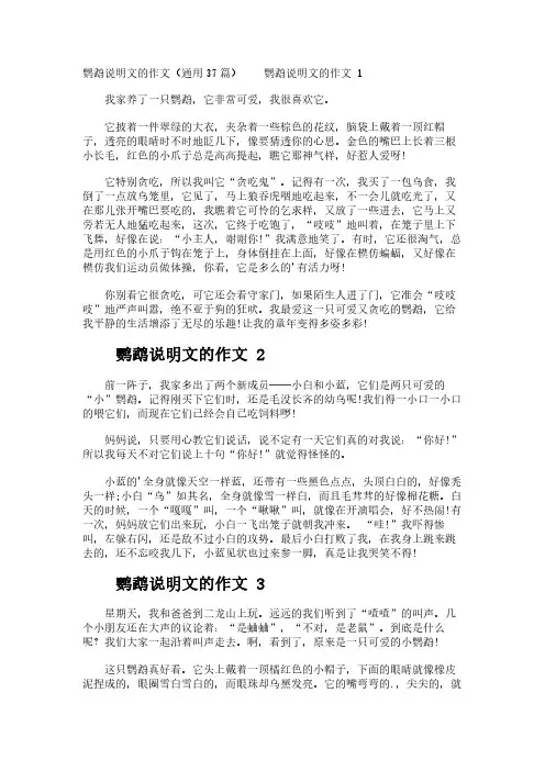 鹦鹉说明文的作文(通用37篇)