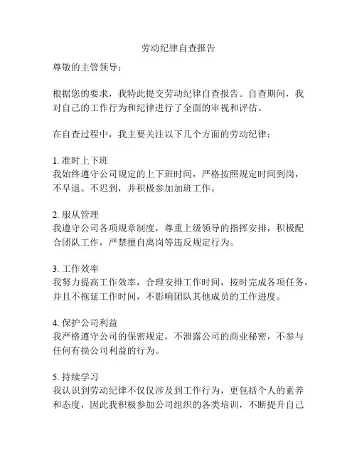 劳动纪律自查报告