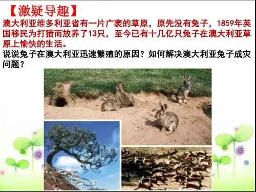 湘教版高中地理选修六第三章第一节《生态系统与生态平衡》课件