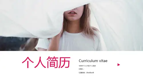 简约大学生毕业竞聘个人简历PPT模板课件