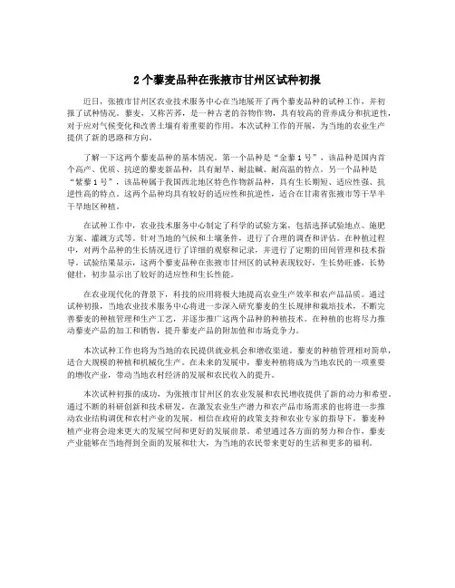 2个藜麦品种在张掖市甘州区试种初报