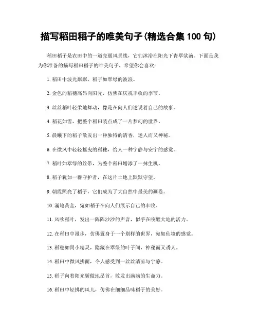 描写稻田稻子的唯美句子(精选合集100句)