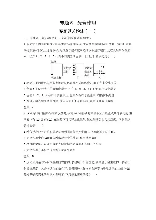 高考生物(山东专用)复习专题6光合作用过关检测含答案