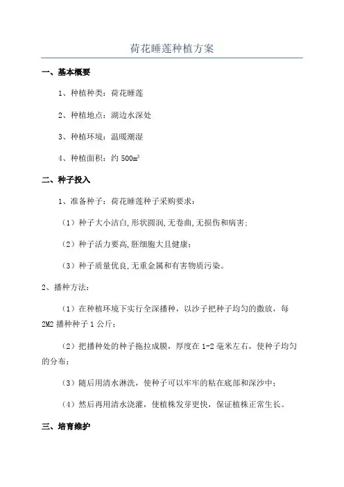 荷花睡莲种植方案