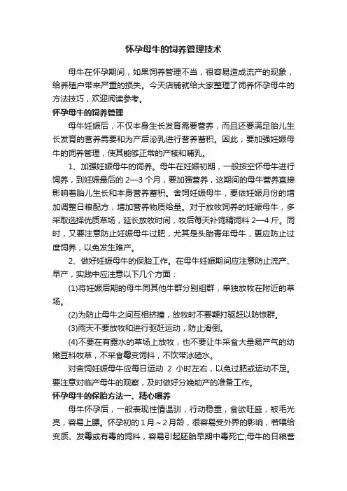 怀孕母牛的饲养管理技术