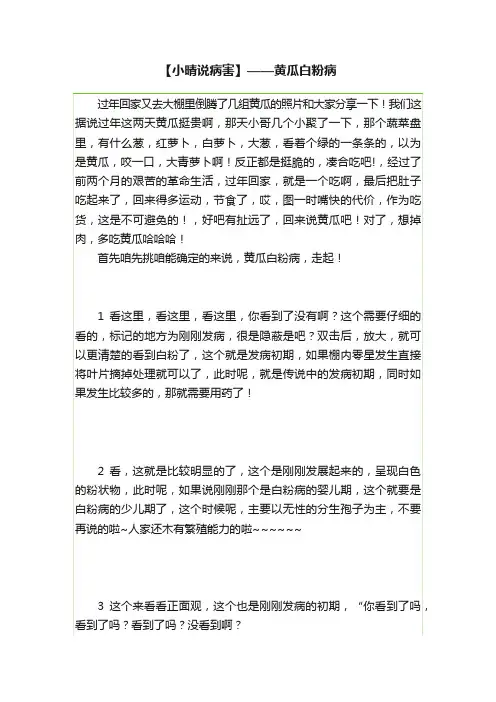 【小晴说病害】——黄瓜白粉病