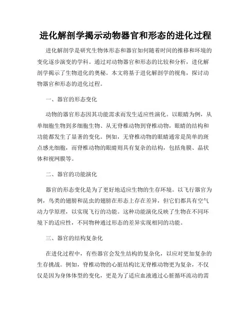 进化解剖学揭示动物器官和形态的进化过程