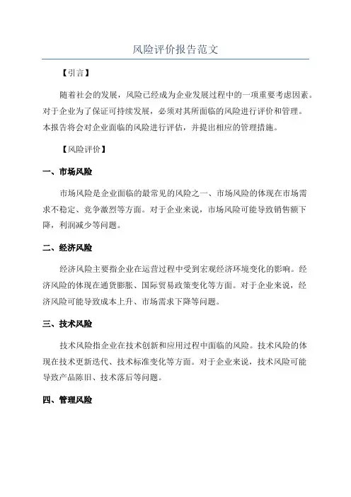 风险评价报告范文