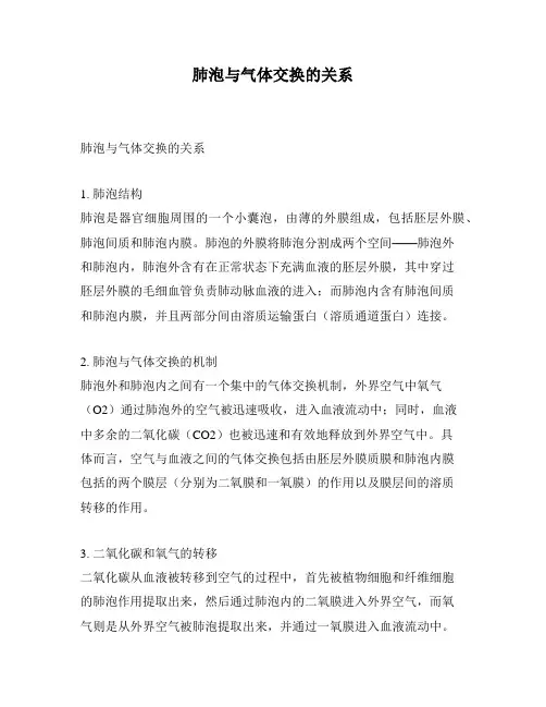 肺泡与气体交换的关系