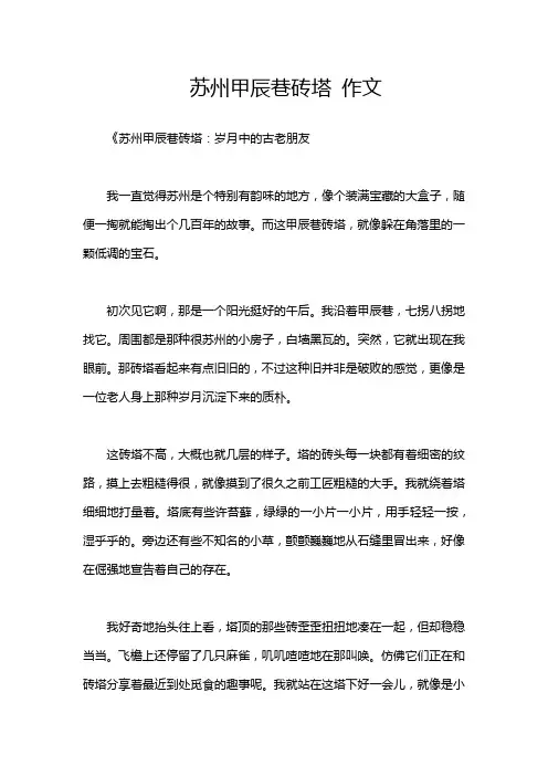 苏州甲辰巷砖塔 作文