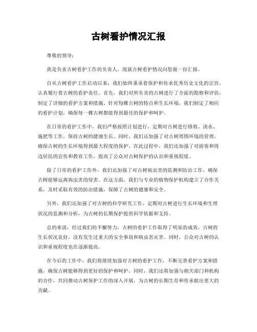 古树看护情况汇报