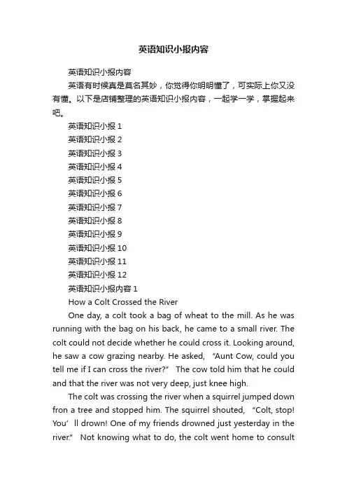 英语知识小报内容