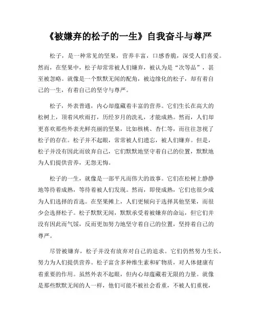 《被嫌弃的松子的一生》自我奋斗与尊严