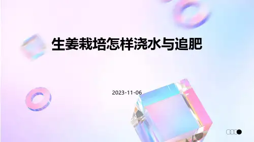 生姜栽培怎样浇水与追肥