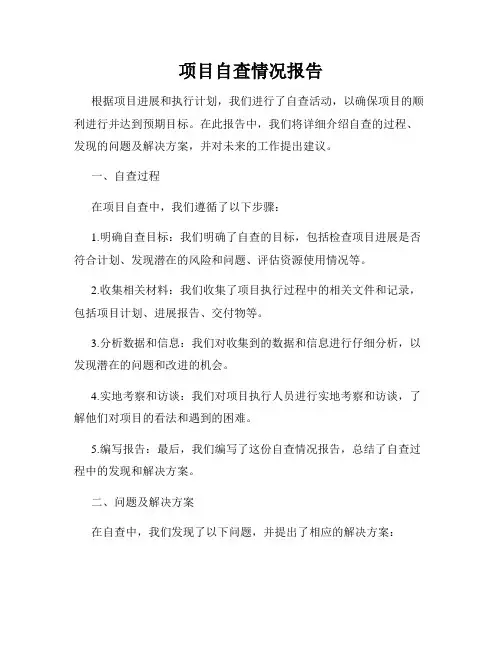 项目自查情况报告