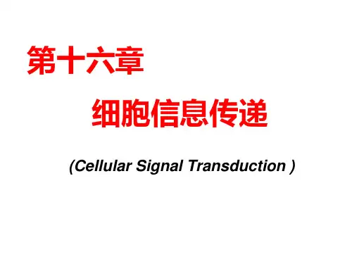 《生物化学》教学课件-第十六章 细胞信息传递
