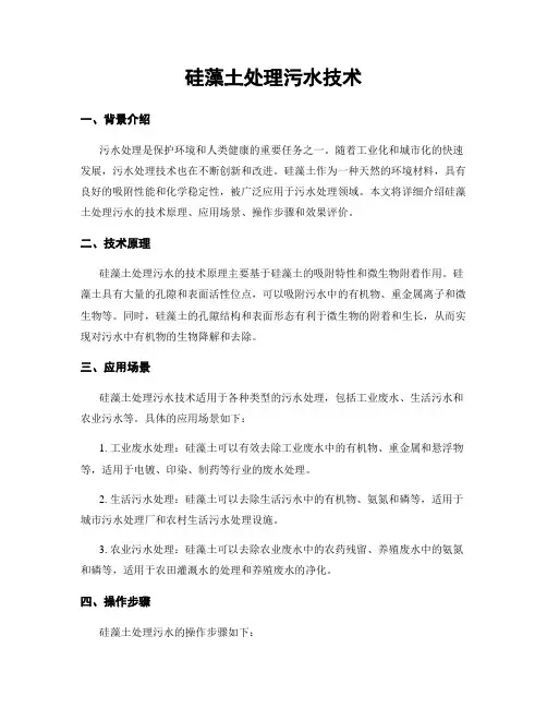 硅藻土处理污水技术