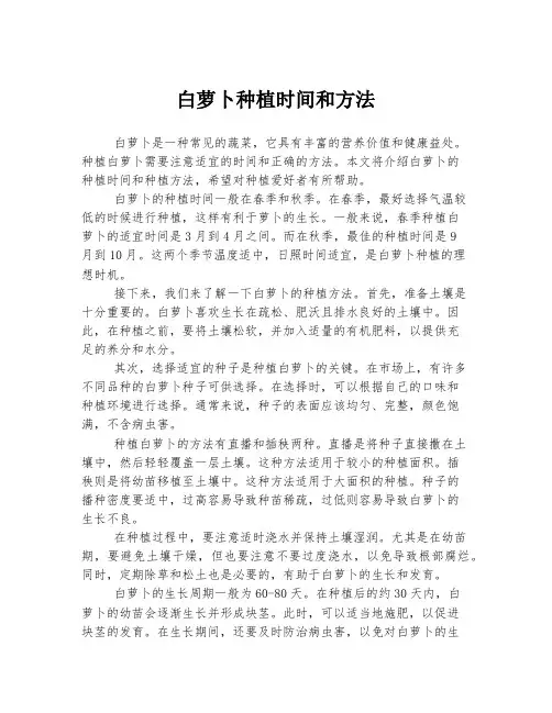 白萝卜种植时间和方法