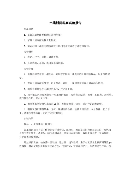 土壤剖面观察试验报告