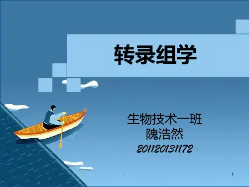 转录组学PPT课件