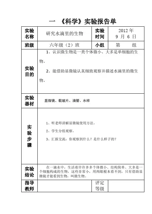 六年级上册科学实验报告单