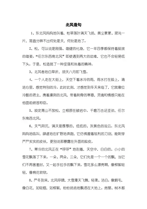 北风造句