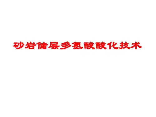砂岩储层多氢酸酸化技术