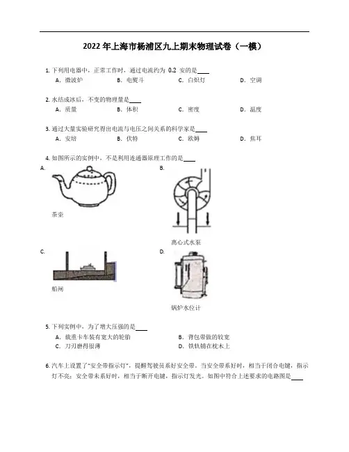 2022年上海市杨浦区九上期末物理试卷(一模)