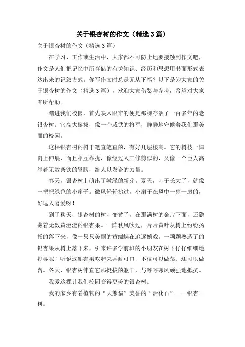 关于银杏树的作文(3篇)