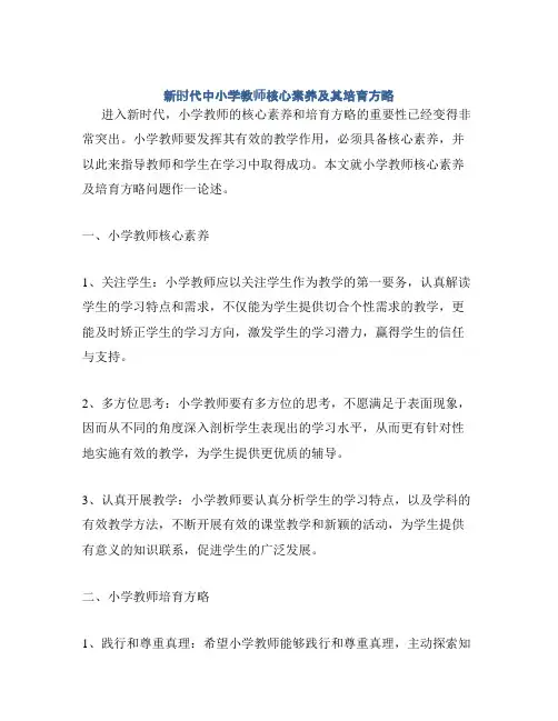 新时代中小学教师核心素养及其培育方略