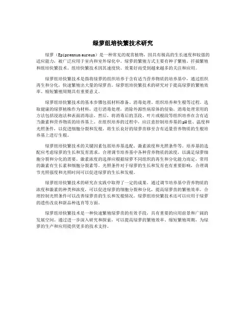 绿萝组培快繁技术研究