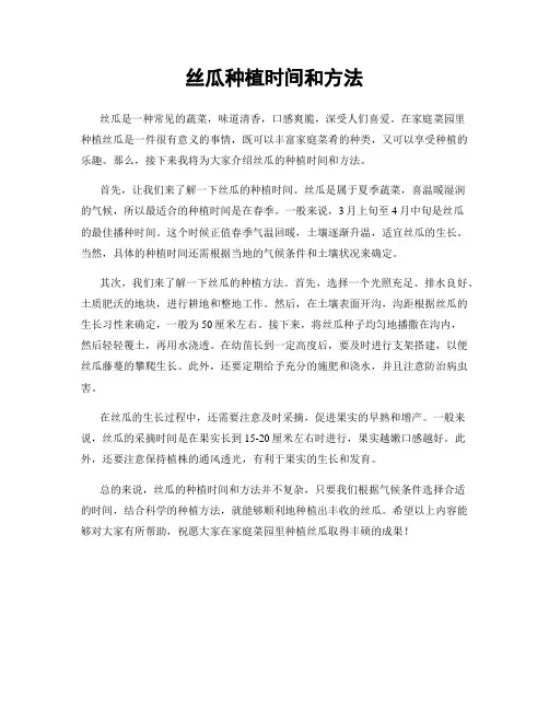 丝瓜种植时间和方法