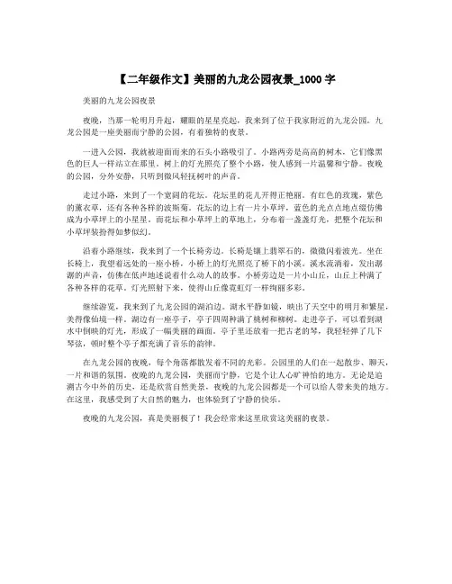 【二年级作文】美丽的九龙公园夜景_1000字