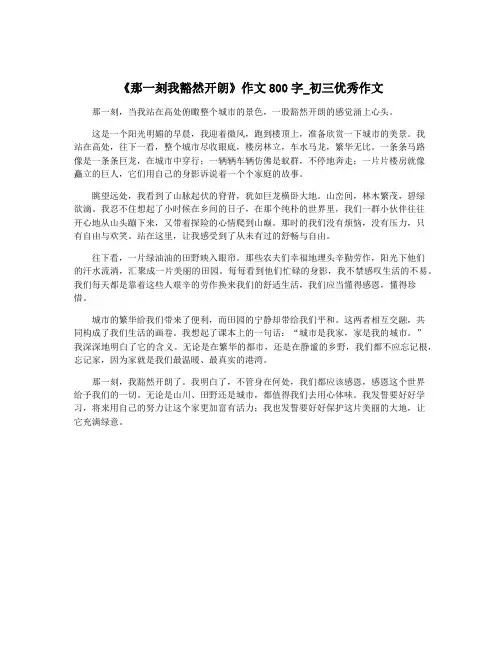 《那一刻我豁然开朗》作文800字_初三优秀作文