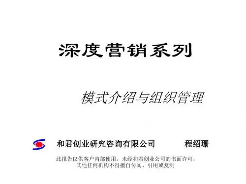 深度营销模式与组织.