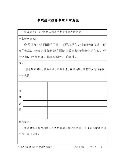 专项技术报告专家评审意见