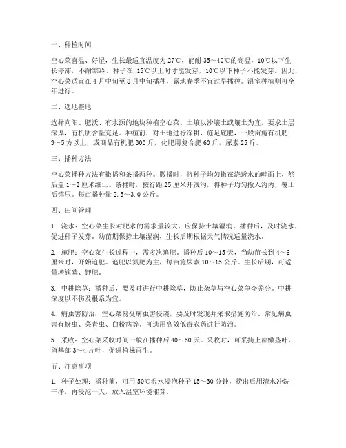 种植空心菜管理技术要点