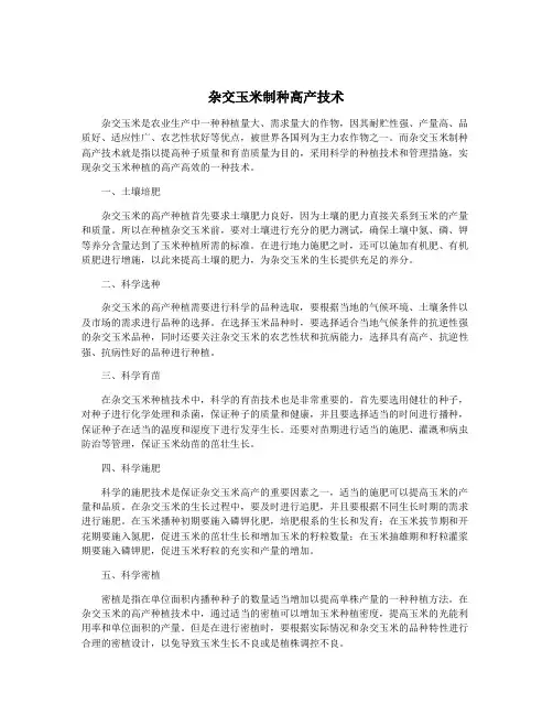 杂交玉米制种高产技术