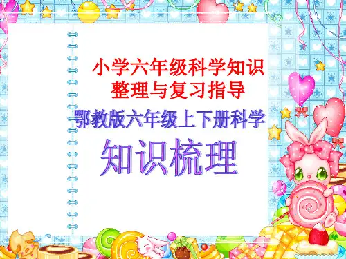 鄂教版科学六年级上下册知识梳理