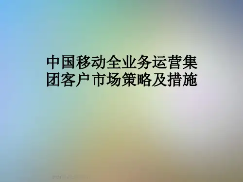 中国移动全业务运营集团客户市场策略及措施